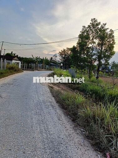 Đất quy hoạch thổ cư Quảng Ngãi giá rẻ chỉ 79 triệu, sổ hồng riêng sẵn