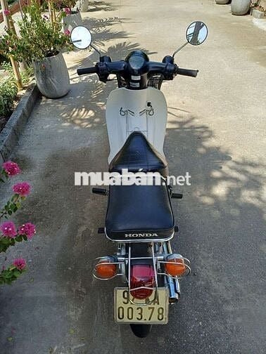 Cup Dalim 50cc 2020