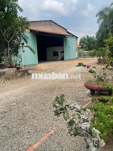 💥Bán gần 1,3 ha 
đất quy hoạch SKC 
Thị trấn Dầu Tiếng Bình Dương