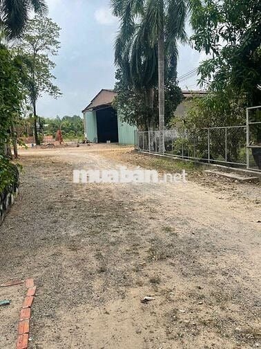 💥Bán gần 1,3 ha 
đất quy hoạch SKC 
Thị trấn Dầu Tiếng Bình Dương