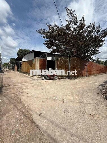 Bán đất bình nhâm 41 (11,8x35) ngay gofl sông bé