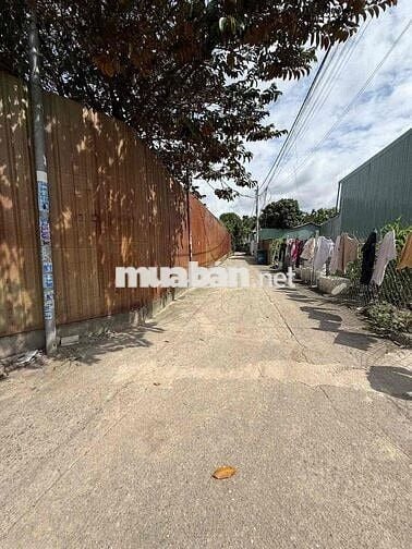Bán đất bình nhâm 41 (11,8x35) ngay gofl sông bé