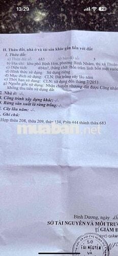 Bán đất bình nhâm 41 (11,8x35) ngay gofl sông bé
