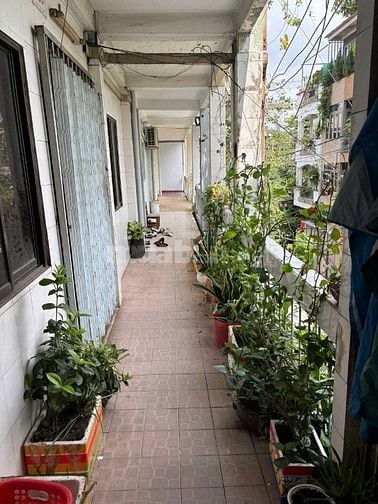 Cho thuê hoặc bán căn hộ chung cư Âu Cơ, lô C, Phường 5, Quận 11