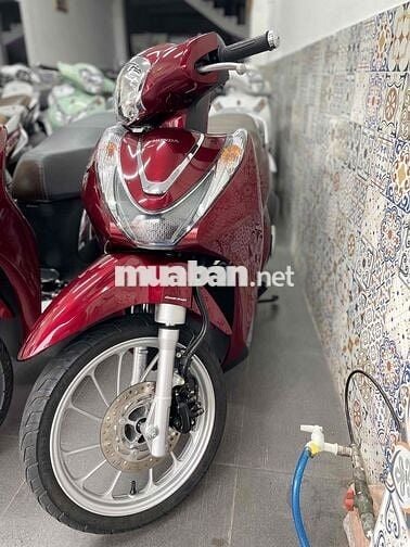 sh mẫu mới và cũ