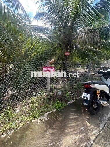 BÁN NỀN BIỆT THỰ – TRUNG TÂM TP. BẾN TRE