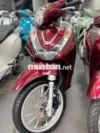 sh mẫu mới và cũ