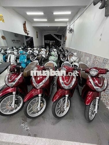sh mẫu mới và cũ