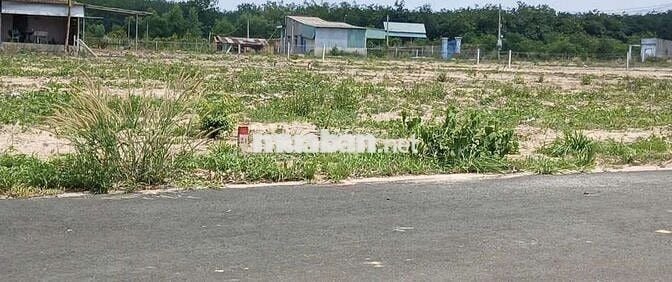 Bán đất thổ cư  mặt tiền đường nhựa tại bình dương
