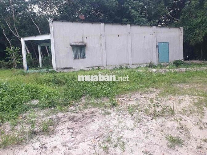 BÁN ĐẤT LAI HƯNG 85, GIÁ RẺ 15tỷ đường nhựa lớn