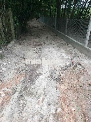 BÁN ĐẤT LAI HƯNG 85, GIÁ RẺ 15tỷ đường nhựa lớn