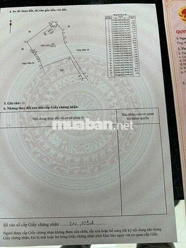 BÁN ĐẤT LAI HƯNG 85, GIÁ RẺ 15tỷ đường nhựa lớn