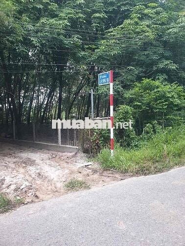 BÁN ĐẤT LAI HƯNG 85, GIÁ RẺ 15tỷ đường nhựa lớn