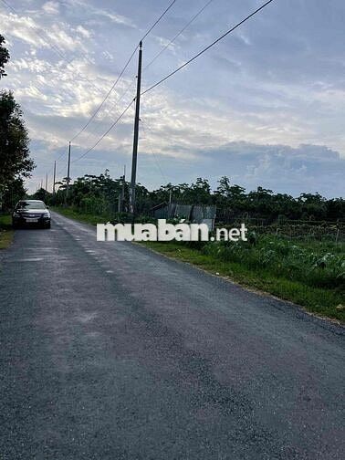 BÁN 3133M2 CLN TẠI BÌNH MINH, VĨNH LONG - GIÁ 22 TỶ