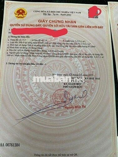 BÁN ĐẤT LAI HƯNG 85, GIÁ RẺ 15tỷ đường nhựa lớn