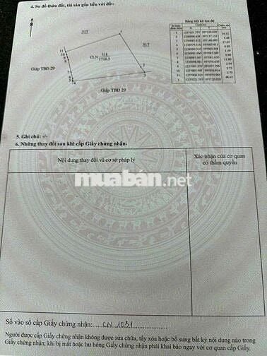 BÁN ĐẤT LAI HƯNG 85, GIÁ RẺ 15tỷ đường nhựa lớn