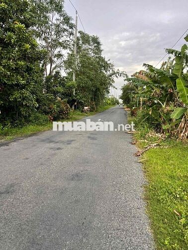 BÁN 3133M2 CLN TẠI BÌNH MINH, VĨNH LONG - GIÁ 22 TỶ