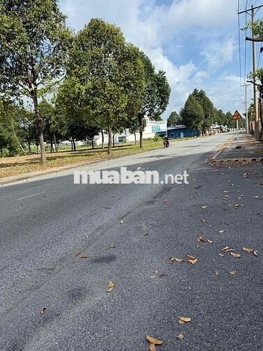 Đất nền SHR thổ cư, ngay trung tâm KCN Bàu Bàng