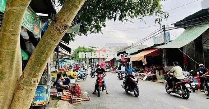 Đất thổ cư 220m2 giá chỉ 580tr có sẵn SHR