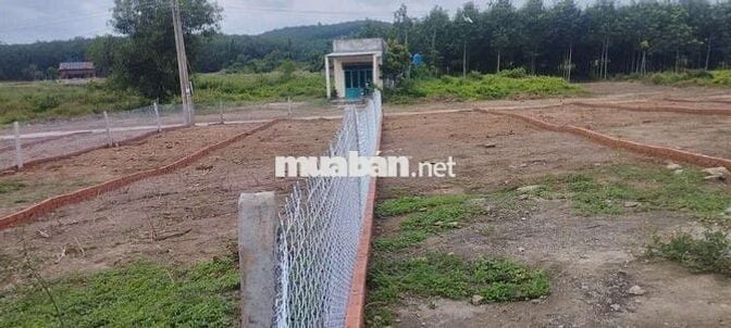 Bán đất thổ cư 230m2 giá 350tr