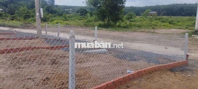 Bán đất thổ cư 230m2 giá 350tr