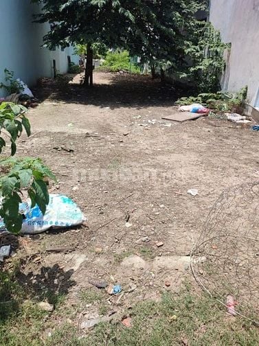 Bán đất khu 2 Thị Trấn Cần Đước 210,5m2 full đất ở đô thị
