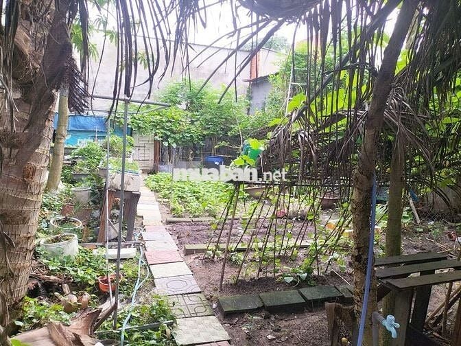 Đất phú hòa khu 8(dt7x15) cách chợ Phú Hòa 500mđường ôtô giá công nhân