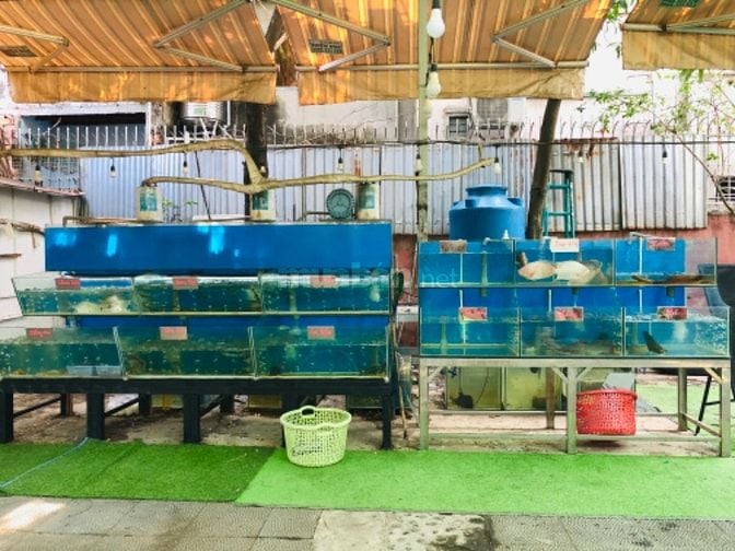 SANG QUÁN ẨM THỰC SÂN VƯỜN Quận 12