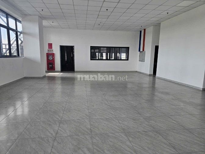 Cho thuê kho xưởng , DT: 13.000m² ,KCN Long Hậu, Long An, PCCC tự động