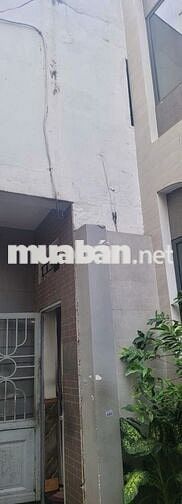 Nhà 5m ngang chính chủ – Nguyễn Sỹ Sách, Tân Bình chỉ 4.45 tỷ