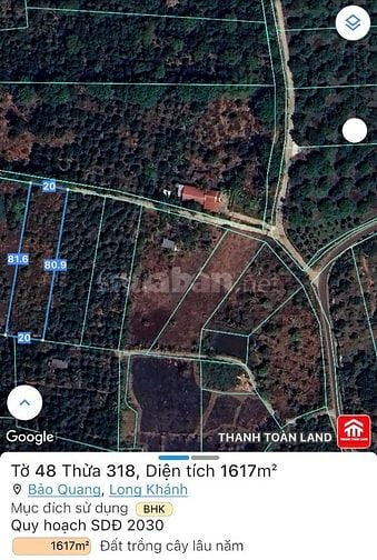 Vườn cây trái vuông vức đẹp oto vao tận nơi