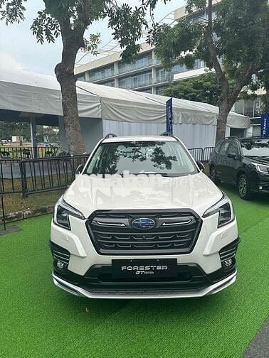 Bán xe Subaru Forester 2024 Giá ***