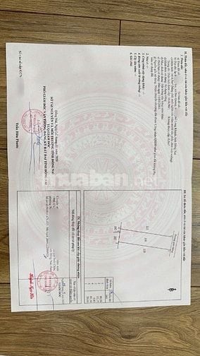Vườn cây trái vuông vức đẹp oto vao tận nơi