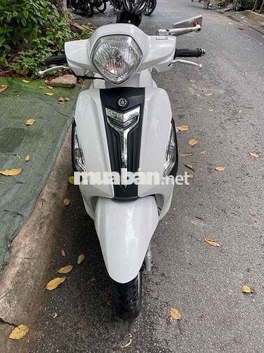 Yamaha Grande 2016  biển 67 máy êm ru áo đẹp