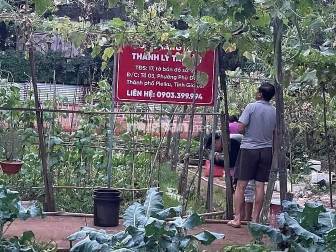 CÔNG TY ĐẤU GIÁ HỢP DANH MINH PHÁP THÔNG BÁO ĐẤU GIÁ TÀI SẢN