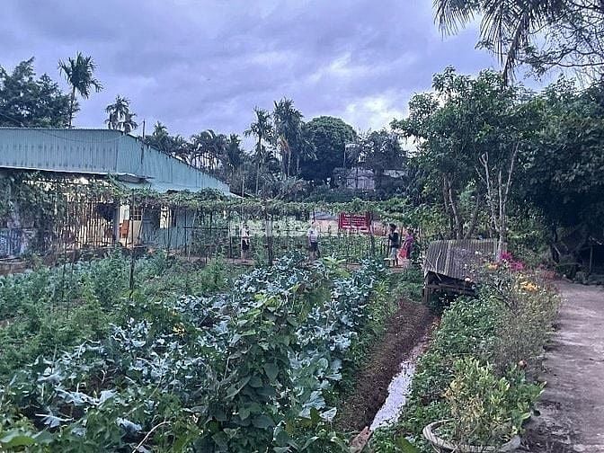 CÔNG TY ĐẤU GIÁ HỢP DANH MINH PHÁP THÔNG BÁO ĐẤU GIÁ TÀI SẢN