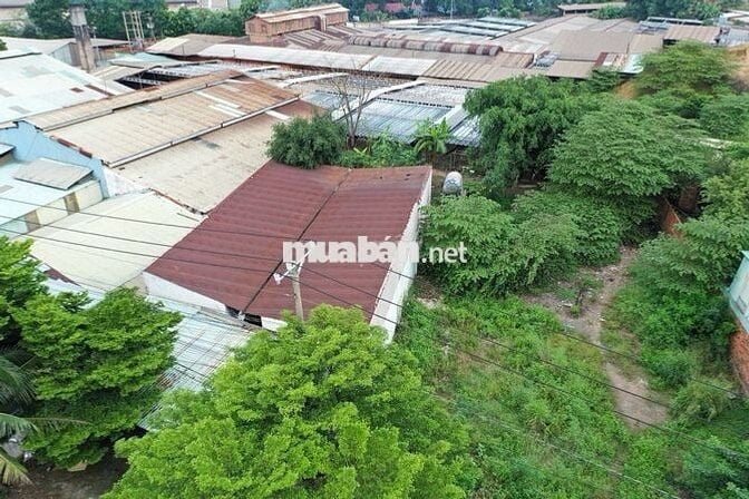 BÁN ĐẤT TẠI AN PHƯỚC – LONG THÀNH – ĐỒNG NAI