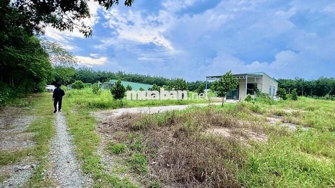 Đất ngộp chính chủ phường Long Nguyên