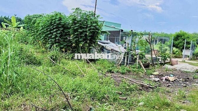 Đất ngộp chính chủ phường Long Nguyên