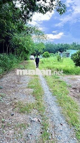 Đất ngộp chính chủ phường Long Nguyên