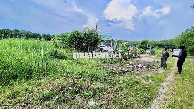 Đất ngộp chính chủ phường Long Nguyên