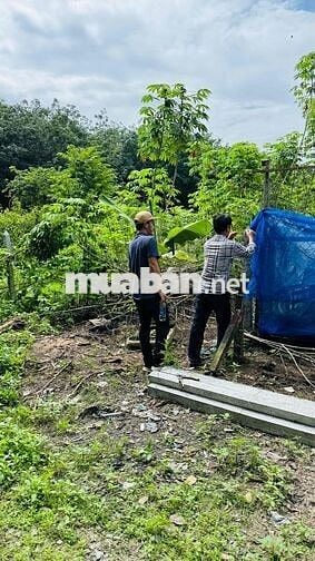 Đất ngộp chính chủ phường Long Nguyên