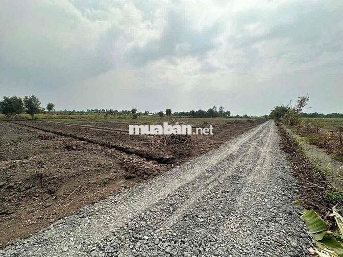 dt:500m2 đất vườn , giá : 320tr , tân thành - thủ thừa - long an