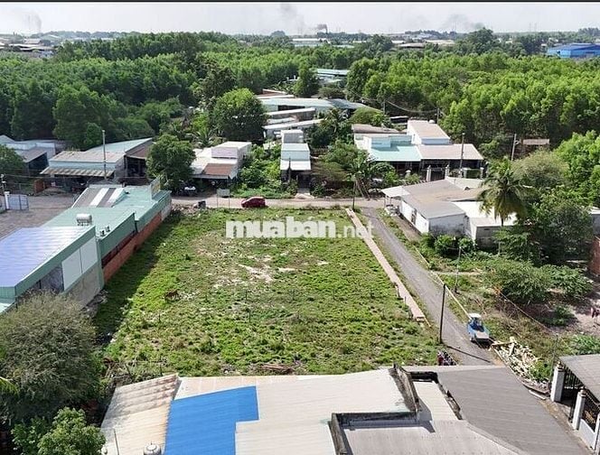 CHÍNH CHỦ BÁN ĐẤT NỀN - XÃ AN PHƯỚC, HUYỆN LONG THÀNH, TỈNH ĐỒNG NAI