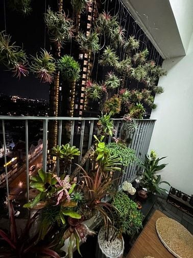 Masteri An Phú 1 PN 50m2 view sông, Không gian sống chill - sát metro