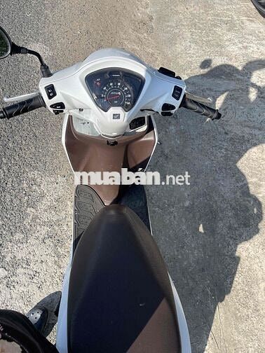 Honda vision đklđ 2019