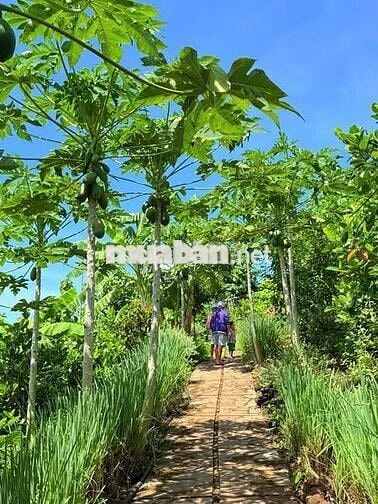 Bán lô đất cực xịn sở hữu view tuyệt đẹp hướng Hồ Trị An