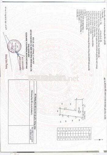 BÁN ĐẤT NÔNG NGHIỆP TẠI XÃ CƯ ÊBUR – TP. BUÔN MA THUỘT – ĐẮK LẮK