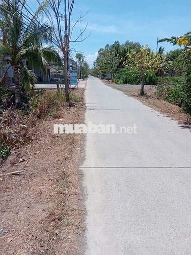 BÁN 1 LÔ ĐẤT DT 174,6m2, FULL THỔ CƯ Ở CẦN ĐƯỚC, SHR CHÍNH CHỦ.