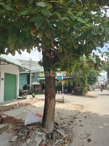 Cho thuê nhà mặt tiền đường Tân Thới Hiệp 21, P. Tân Thới Hiệp, Q. 12 